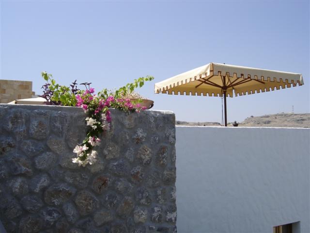 DSC00211 (Small)